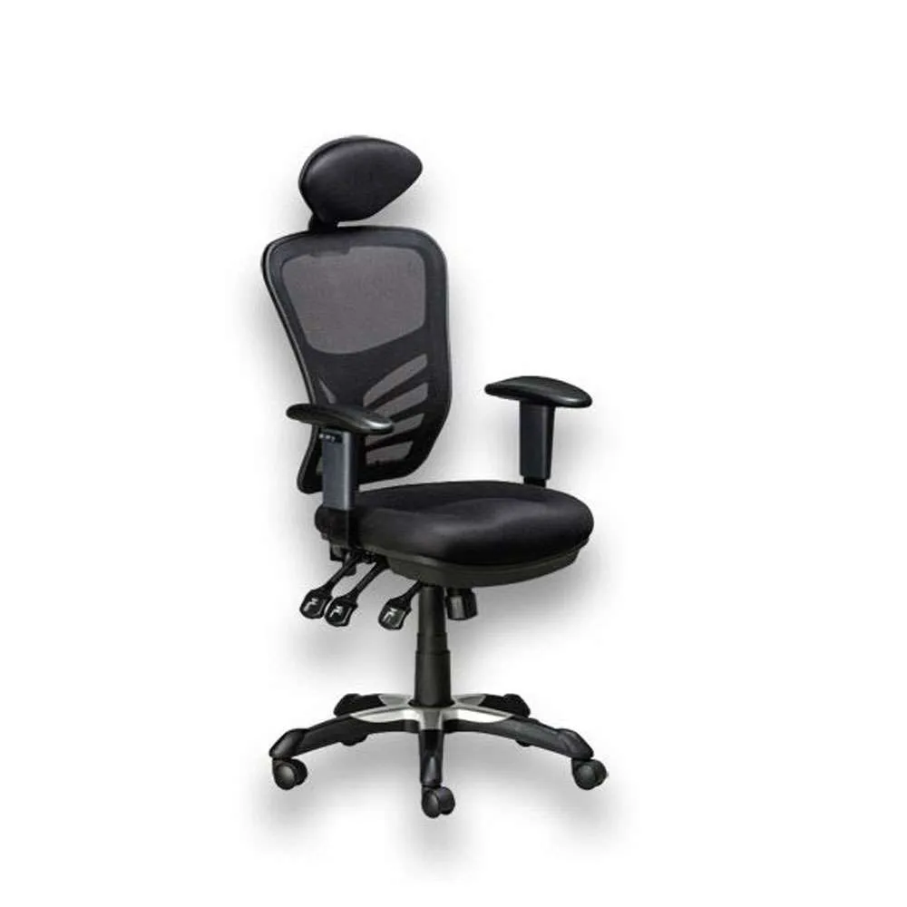 Ergonet